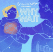 HIP Video Promo Presents: Brad Wolfe & The Moon premiere new music video ‘Why Wait’ on Music-News.com