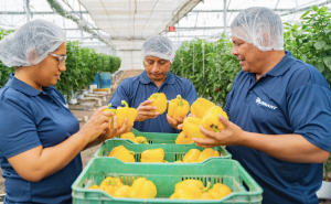 Greenhouse Staff