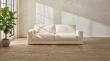 DreamSofa Disrupts "Fast Furniture" Market with 2026 Circular Design Mandate and PFAS-Free Standard