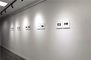 In an era of proliferating digital images, the definition of documentary photography is being actively reshaped