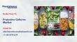 Protective Cultures Market to Hit $2.1 Bn by 2033 Driven by Clean Label Demand