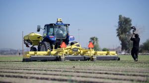 Niqo Robotics Charts Path to Profitability as Physical AI Weeding Platform Expands into New Crops, Markets, and New Generation of Products Niqo Robotics - Weeder