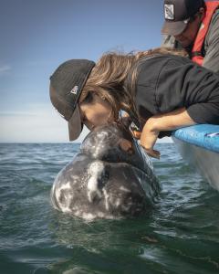 David Serradell, Photographer, Baja Expeditions