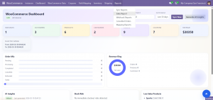 Odoo WooCommerce dashboard with the Reports