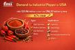 USA Industrial Pepper Market to Reach USD 196.23 Million by 2036 | Global Growth Led by McCormick & Olam International