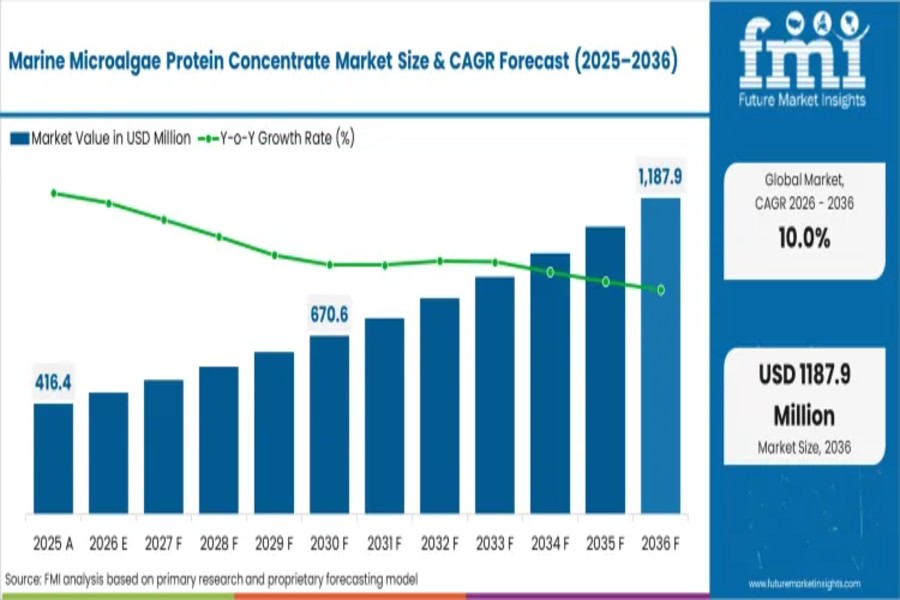 Marine Microalgae Protein Concentrate Market to Hit USD 1,285M by 2036 on Sustainable Nutrition Demand By FMI