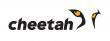 Cheetah and Orion launch integration for trust accounting and portfolio management to unify advisor workflows