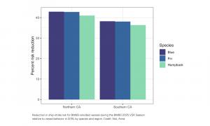 2025 ship strike reduction