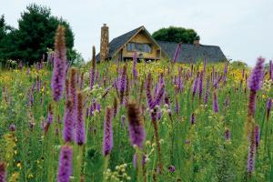 Native wildflower meadow in Missouri with Prairie Blazing Star, Rattlesnake Master, and Coneflowers growing around a home, illustrating a biodiverse, pollinator-supporting landscape.