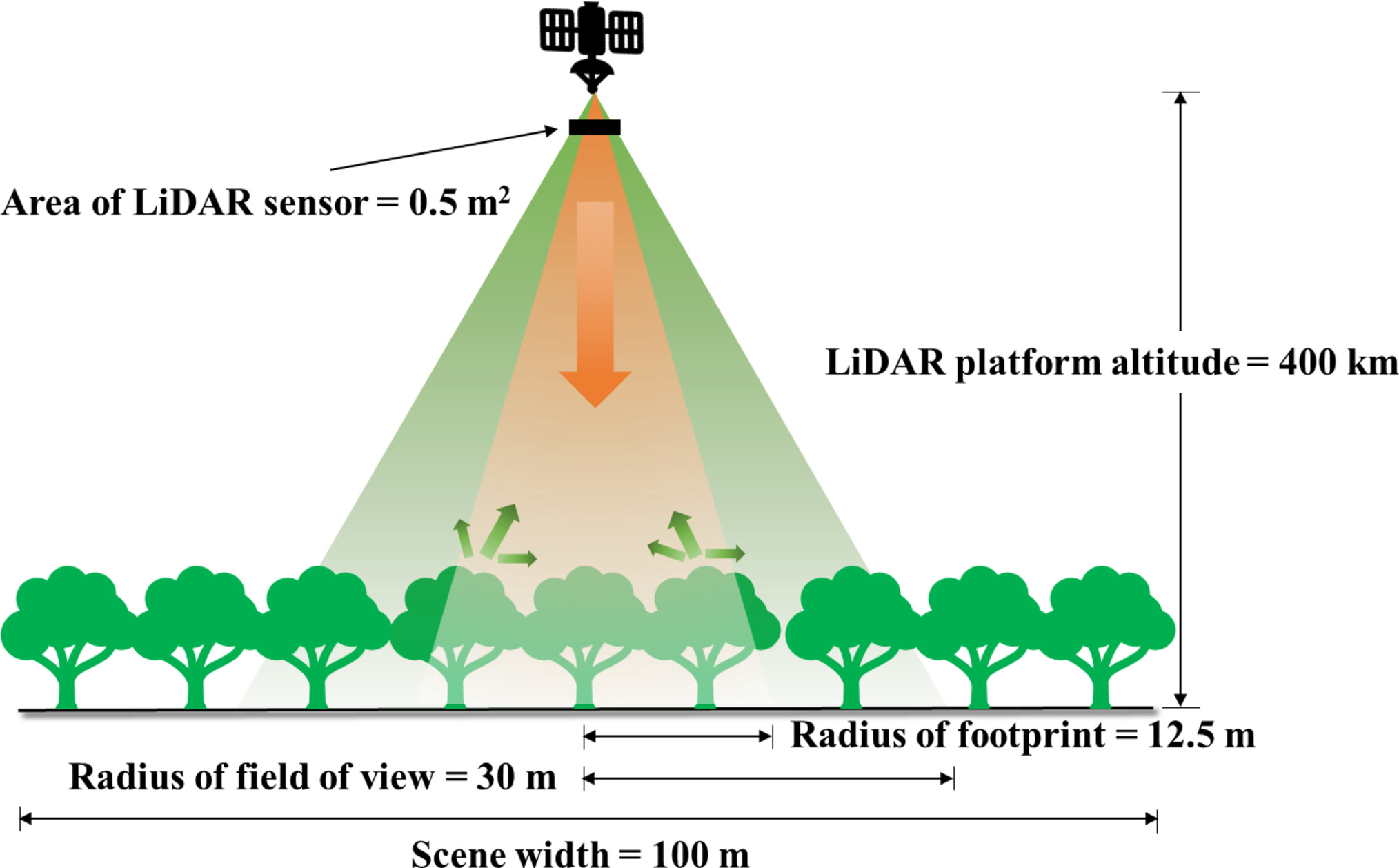 Sharper forest insights from spaceborne LiDAR