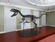 World Premiere Of Rare Late Jurassic Predator - Possibly A New Dinosaur Species - From David Aaron At Hollytrees Museum