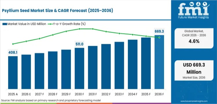 Psyllium Seed Market to Reach USD 669.3 Million by 2036 Driven by Rising Demand for Dietary Fiber and Pharmaceutical