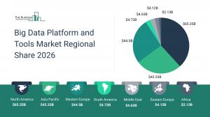 Big Data Platform and Tools Market Report