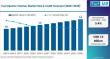 Global Fuel Injector Cleaner Market Dominated by North America with Chevron STP Driving Demand Growth Trends