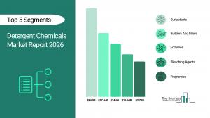 Detergent Chemicals Market Report 2026_Segments