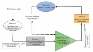 Physiological balance is fundamental to health, yet this process rarely operates in a single direction