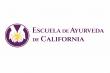 Nutrición Ayurveda: Escuela de Ayurveda de California ofrece Curso Online de Alimentación Ayurveda