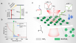   Dual quasi-BIC resonances synergized laser cooling in halide perovskite metasurface