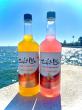 SALT LIFE Brand Ready-to-Drink Cocktails Now Available. Expands Distribution Across Publix Liquors