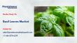 Basil Leaves Market to Hit 1.9bn by 2033, Driven by Rising Demand for Herbal Products