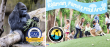 Santa Barbara Zoo Renews Certified Autism Center™ Designation, Reinforcing Commitment to Inclusive Experiences for All
