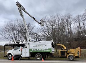 Branching Out Tree Service