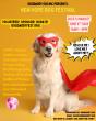 The New Hope Dog Festival and DogdaddyTvNetwork.com will air the first livestream rescue event ever on June 6th, 2026