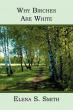 Why Birches Are White Tells a Cross Cultural Love Story Shaped by History, Distance, and Destiny