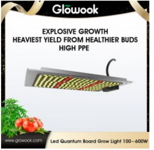As the global indoor farming and controlled-environment agriculture (CEA) sectors continue to scale, artificial lighting has transitioned from a supplementary tool to the primary engine of modern cultivation