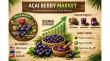 Acai Berry Market to Reach $2.69Bn by 2033, Driven by Health Trends