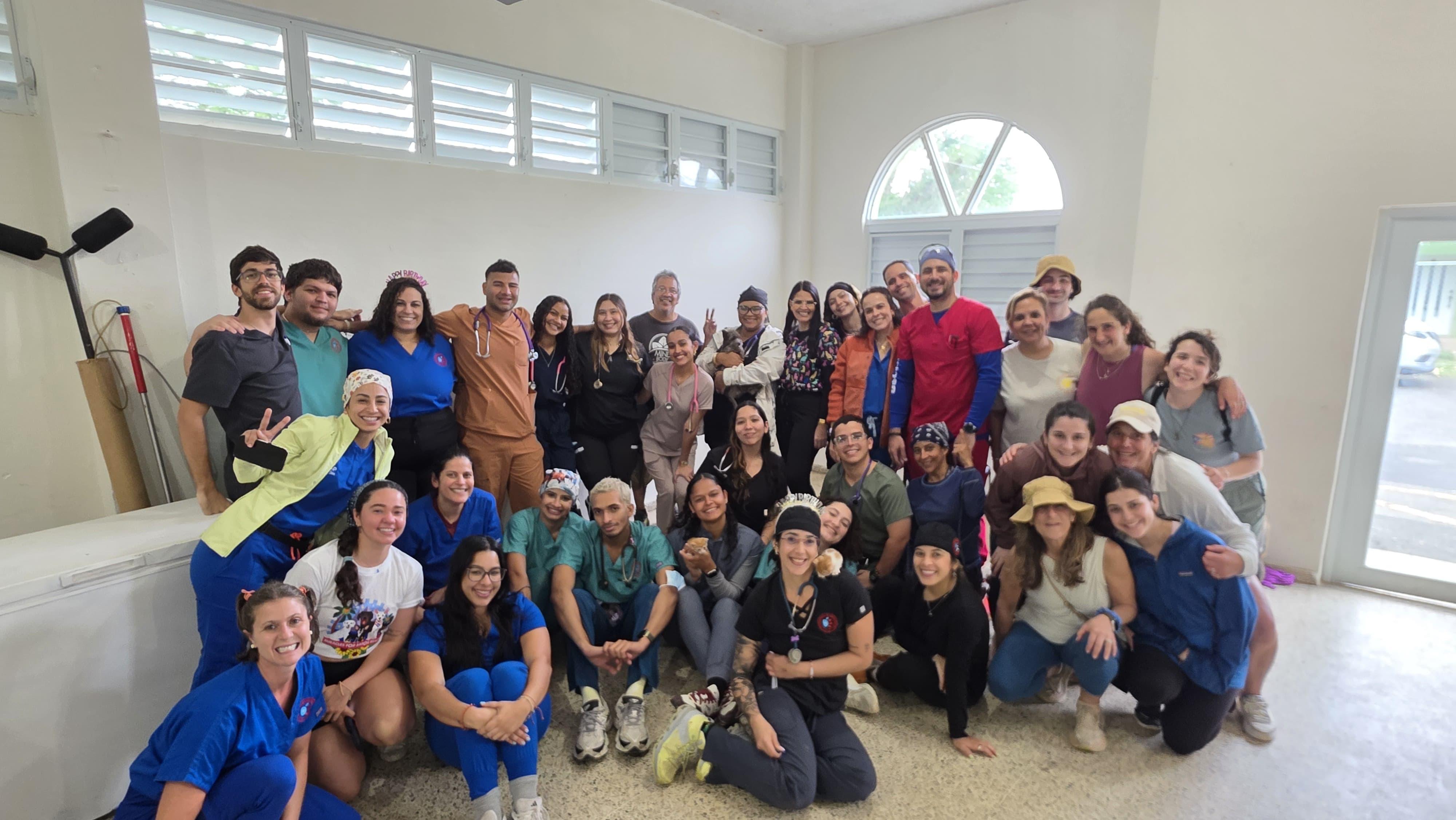 Pippi Project Hosts Another Productive Sterilization Clinic, Part of Their Five-Year Plan to Combat Stray Overpopulation