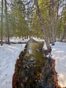 Hidden Brook Winter