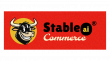 Serial eCommerce Founders Launch AI Platform That Generates And Manages eCommerce Stores Through Chat Interface