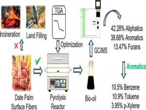 Bioenergy feedstock