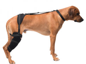 Pet Therapy Wraps_