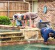 Mr. Pool Leak Repair Highlights Diagnostic Standards for Pool Leak Detection in Plano