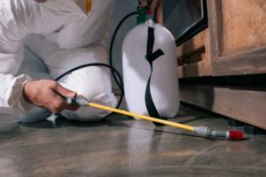 Crystal Facilities Management (CFM), one of Saudi Arabia's leading facilities management companies, today announced the expansion of its professional pest control services across the Kingdom, with dedicated operations now serving Riyadh, Jeddah, and major cities nationwide Pest Control Services