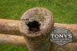 Prevent Wood Fence Rot in Louisiana’s Humid Climate: Expert Tips from Tony’s Fencing & Iron Works