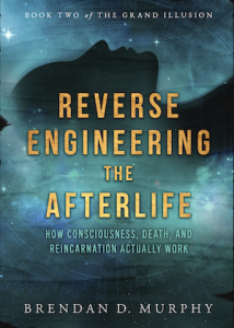 Reverse Engineering The Afterlife by Brendan D. Murphy