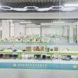 Sunflower Dental Lab: China Leading Dental Lab For Outsourcing Services