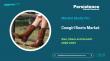 Cowgirl Boots Market Size to Reach US$ 1.61 Bn by 2033 Driven by Rising Fashion Trends and Western Lifestyle Appeal