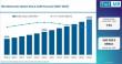 Germany Microbolometer Market Expands with Automation; Teledyne FLIR Leads