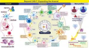 24835005 car technology