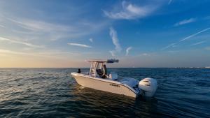 Image Of A Century Boat Model 2600