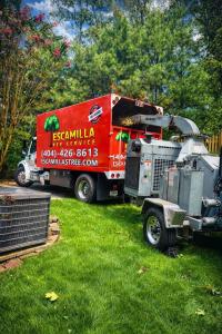 emergency tree service atlanta