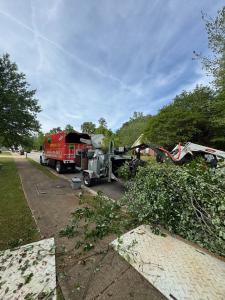 Tree Trimming Near Me Atlanta