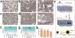 Figure 1. Microstructure evolution of silicon carbide.