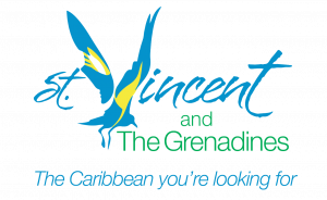 Discover SVG Logo