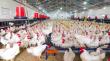 AGROLIDYA Announces Strong Investor Demand for Poultry Investment Project in Turkey as Phase One Sells Out