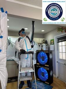 24836556 mold removal